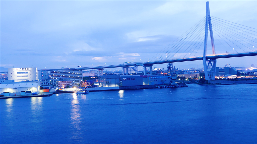 丽星邮轮8天7晚自由行攻略,丽星邮轮双子星号日本攻略