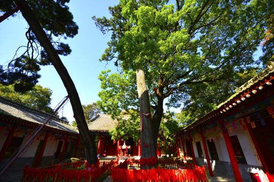 少华山旅行,游少华山攻略