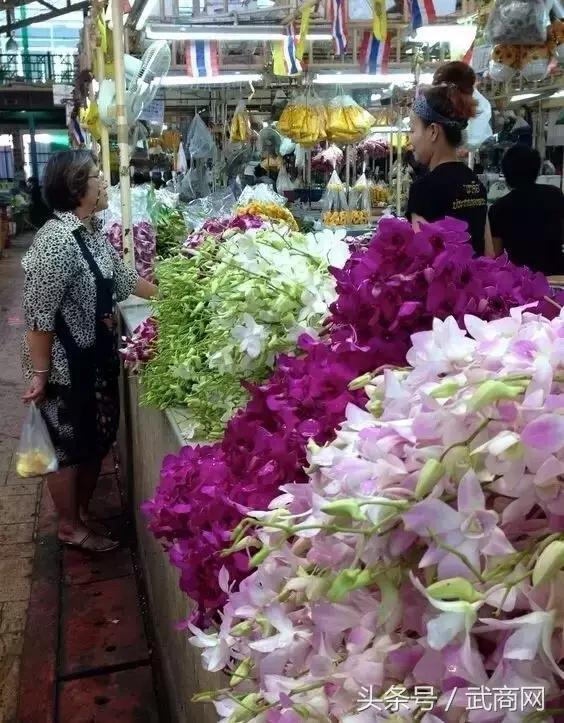 女生在18岁前一定要去的18个地方,女生18岁之前必去的地方