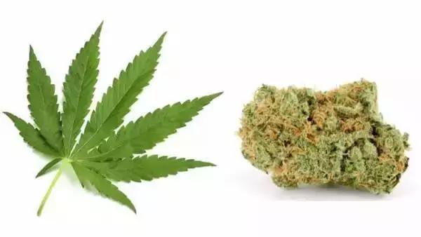 权志龙涉毒事件来源,中国禁毒网报道权志龙