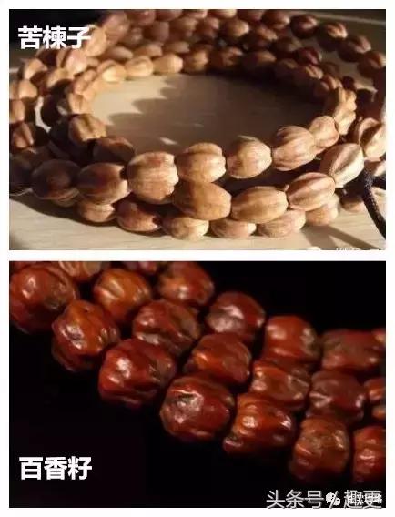 百香籽有没有假的,百香有没有假的