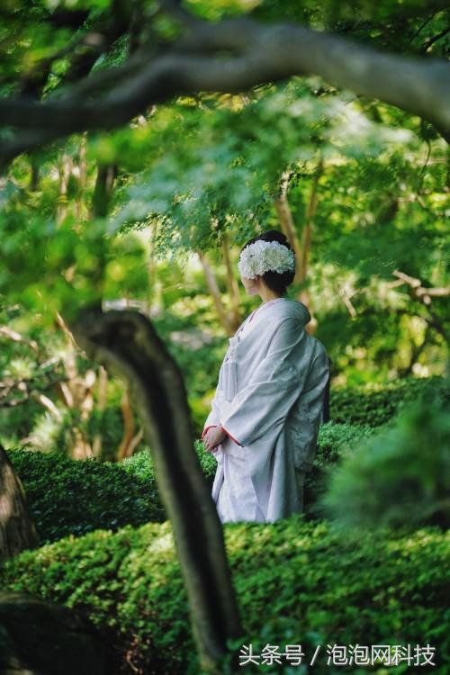 索尼最新微单a7r3与a9对比,索尼a9和a7r4拍视频比较