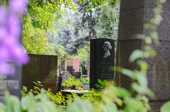 感受战斗民族日常,感受战斗民族的热情