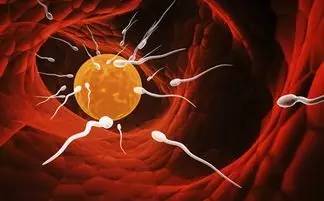 怀孕也会来姨妈会掉血块吗,怀孕也会来月经的吗