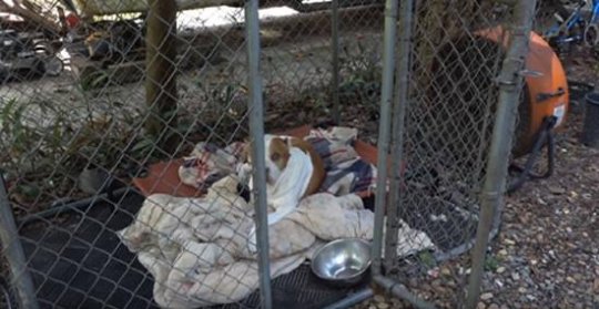 大J神:大一新生和大二学姐开学后不可描述的聊天记录