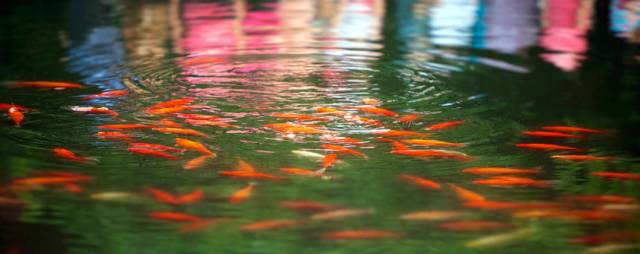 西湖必去的几个地方,西湖不建议去的地方