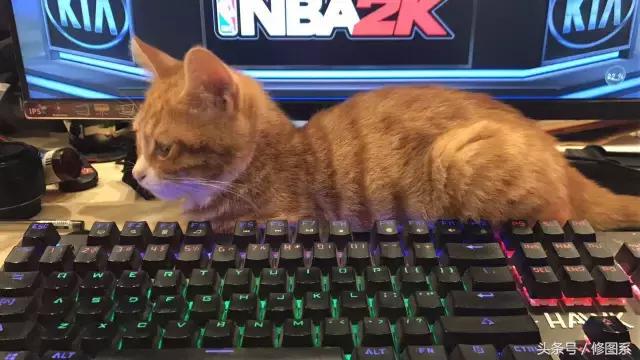 修图师会用哪些修图软件,修图师都用ps么