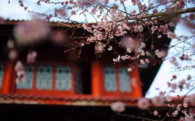 七情六欲是哪七情哪六欲指的是什么,七情六欲是哪七情哪六欲具体解释