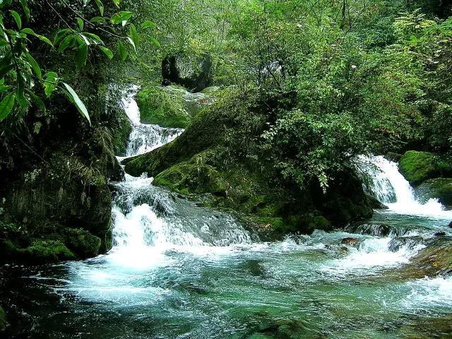 北纬30°神秘之境,在高山草甸、追逐鹿群,这里美的像天堂!
