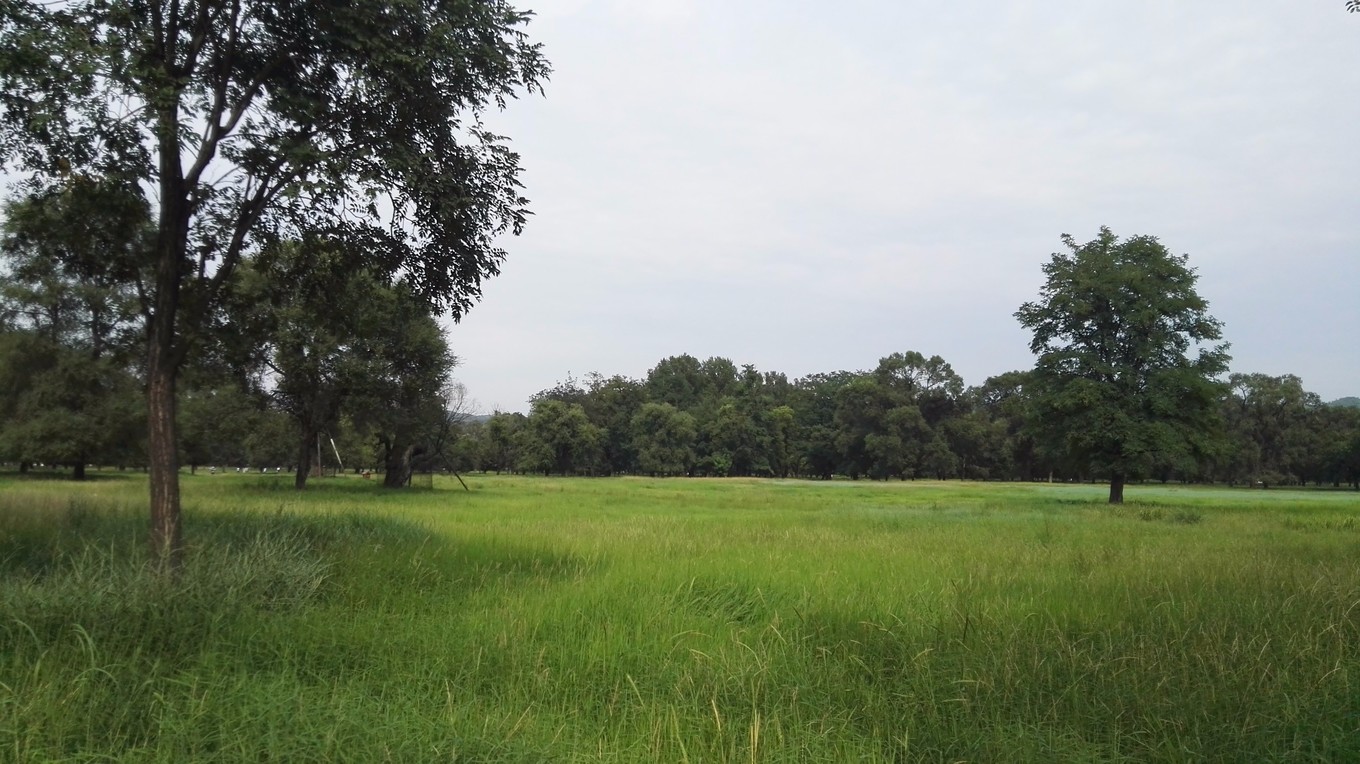 承德15人的民宿推荐,承德紫塞网农家院攻略