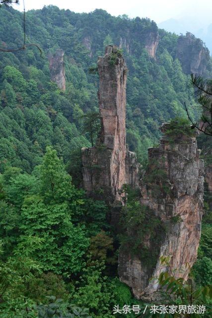 上海到张家界五日游攻略,找一下去张家界天门山的线路