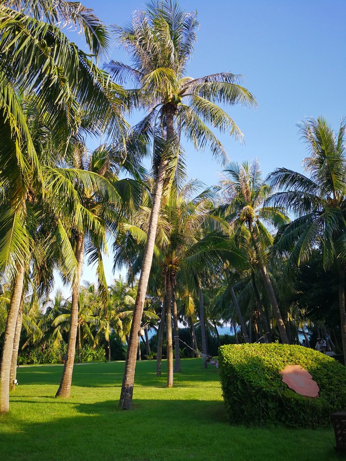 带着老妈和宝贝游三亚（两家铂尔曼和亚龙湾红树林度假之旅）