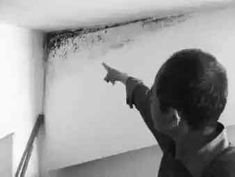 房子墙壁如何做才不发霉不开裂,墙壁上发霉开裂了怎么办