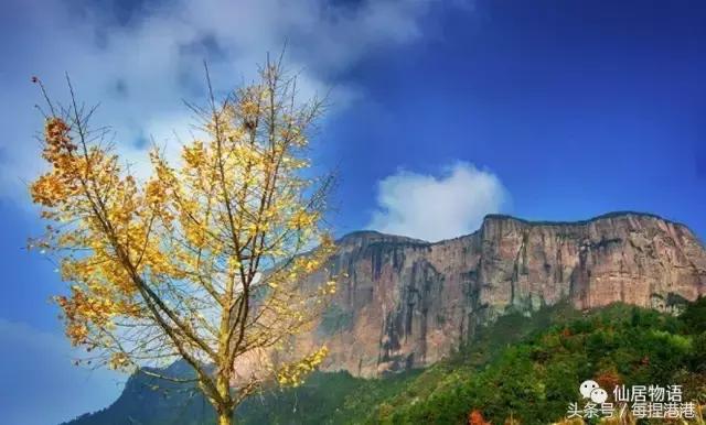 台州的公盂村,浙江省仙居县田市镇公盂村