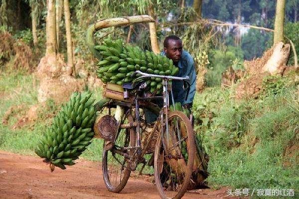 非洲国家为何那么落后？懒只是其中一个原因