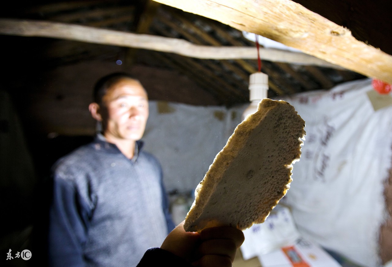 晚上在家发生奇怪的事,大家睡觉时都做过哪些奇怪的事