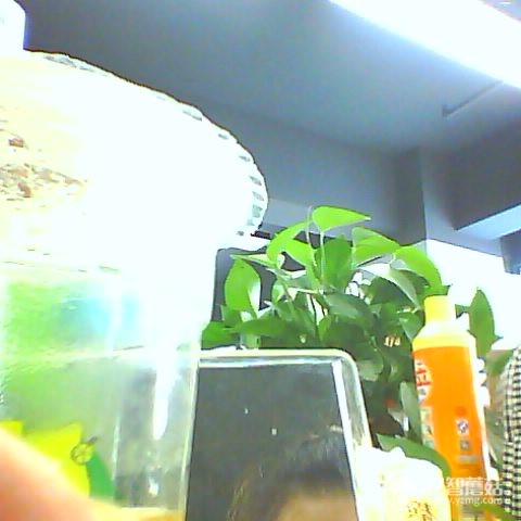 糖猫儿童手表好吗,糖猫t3智能手表