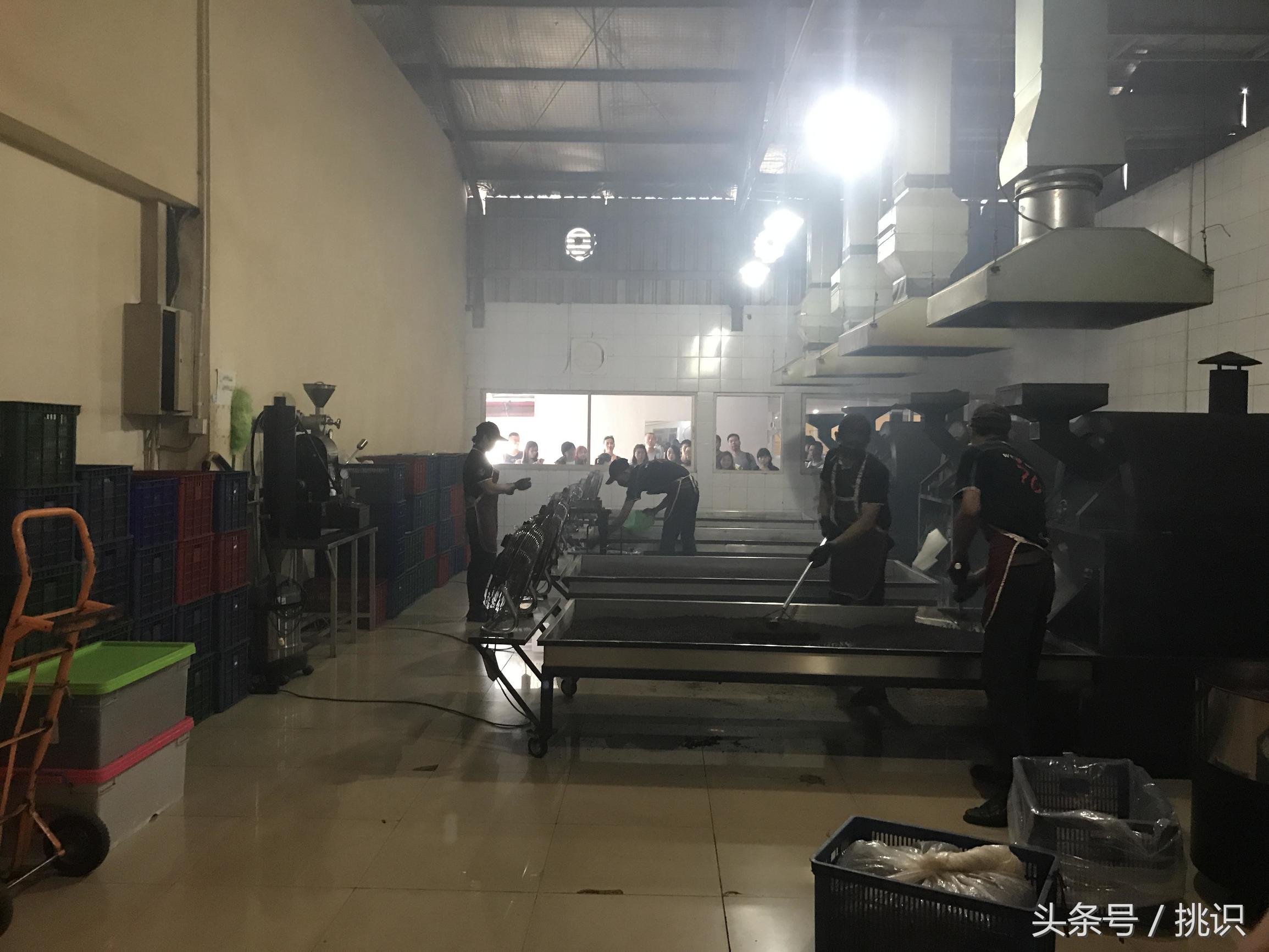 猫屎咖啡最贵的饮品,为什么猫屎咖啡是世上最贵的咖啡