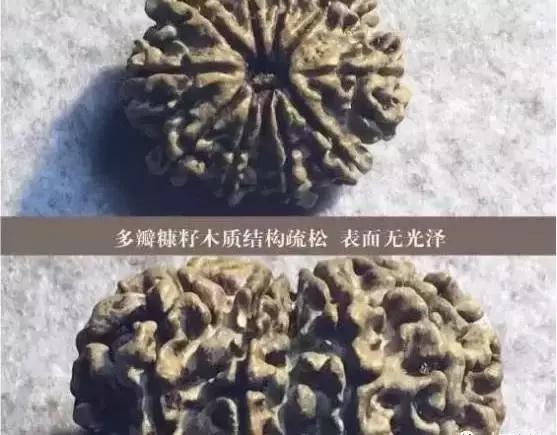 金刚菩提手串怎么分辨好坏,金刚菩提手串怎么辨别好坏