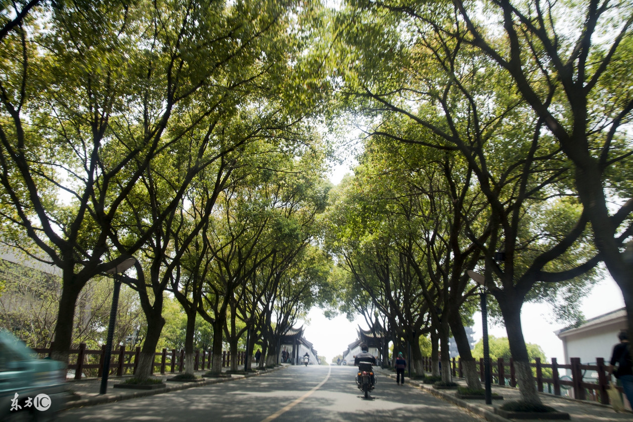 人生当下即是全部,人生当下就是美好时刻