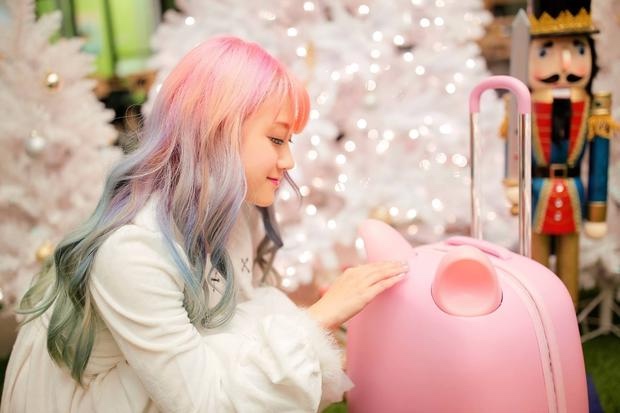 不要说我孤独,我还有猫