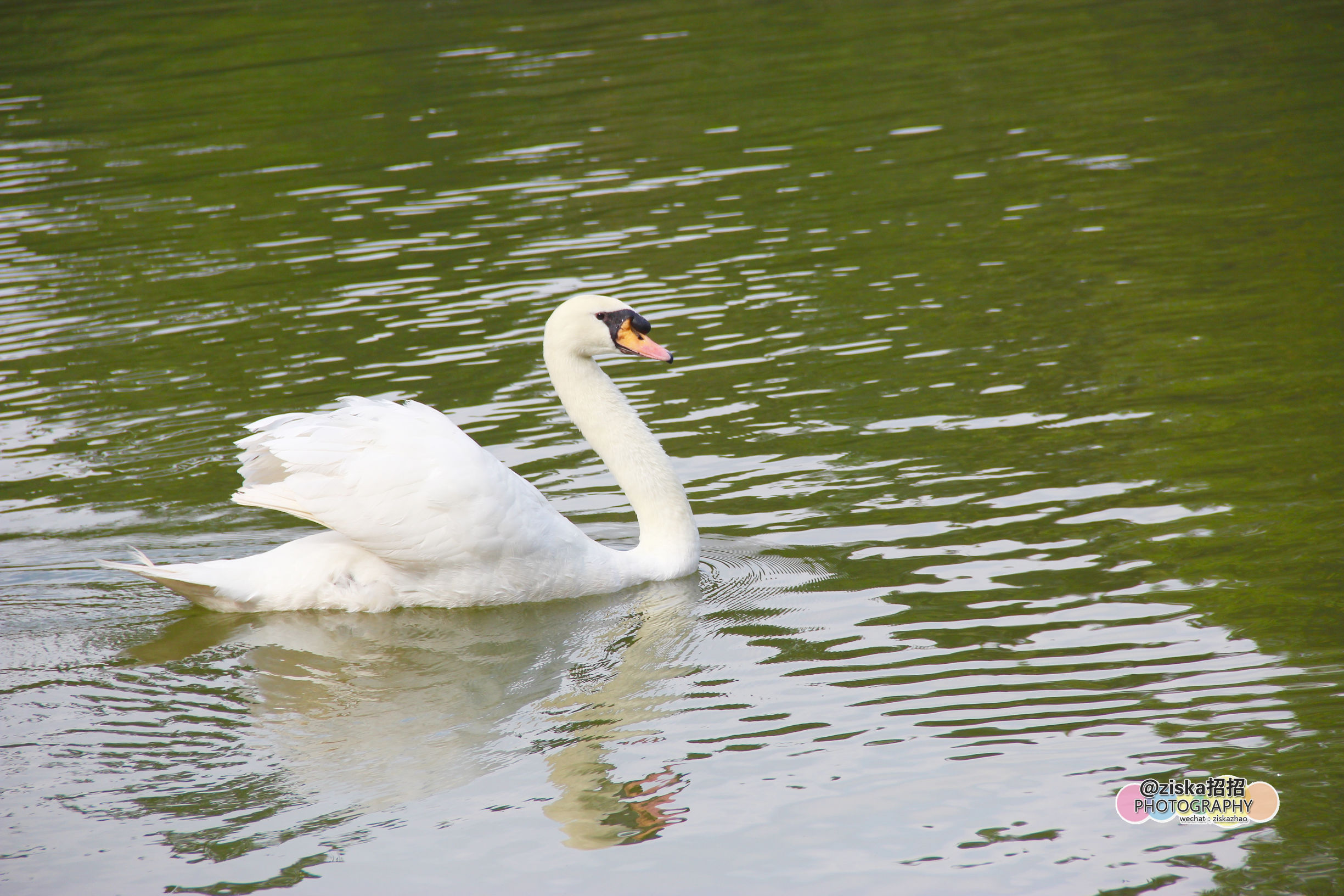 新加坡七天旅游攻略,7天新加坡之旅