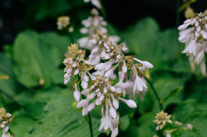 感受战斗民族日常,感受战斗民族的热情