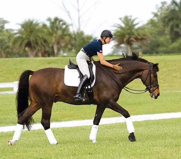 初学骑马的技巧视频,新手骑马的基本要领有哪些呢