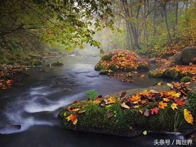 顶级摄影高手拍摄人像,顶级摄影师才能拍出这么美的效果