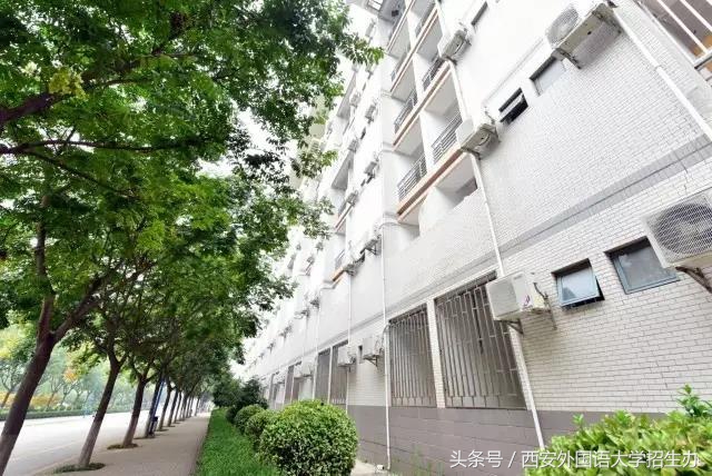 最人性大学：新生入学前选好用品，住在哪里自己决定