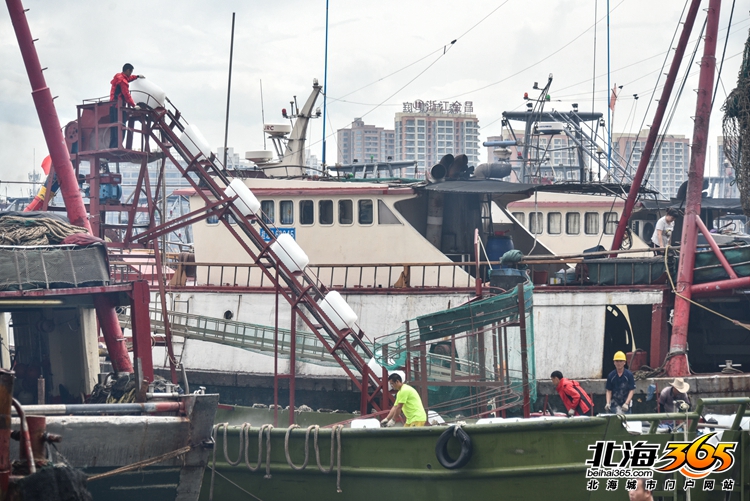 北海开渔仪式2020时间,北海开渔