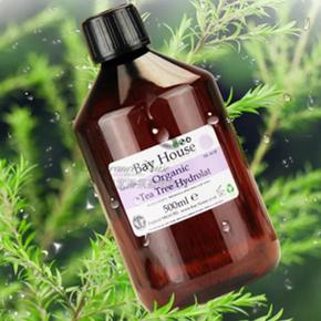 绮炬补鍜岀函闇茬殑钂搁杩囩▼,鐜懓鑺辫捀棣忕函闇插拰绮炬补