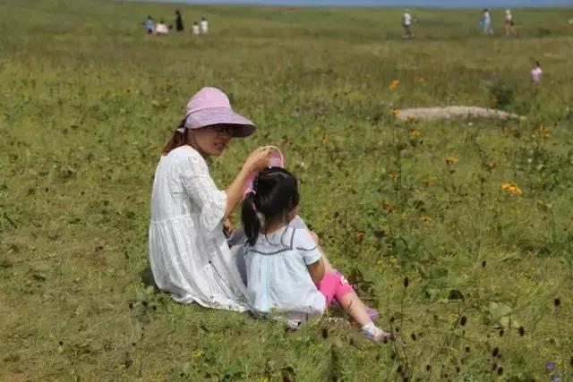 山西历山舜王坪大草原攻略,看云海高山草甸的地方