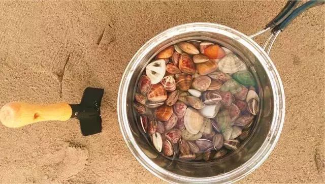 宁波东部最佳免费露营地,宁波免费十大露营地排名