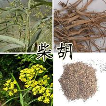 漫话中医汤剂,漫谈散文季羡林读后感