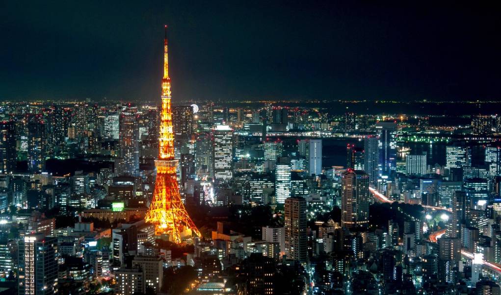 跟兔达人走世界——东京，追寻龙猫的足迹