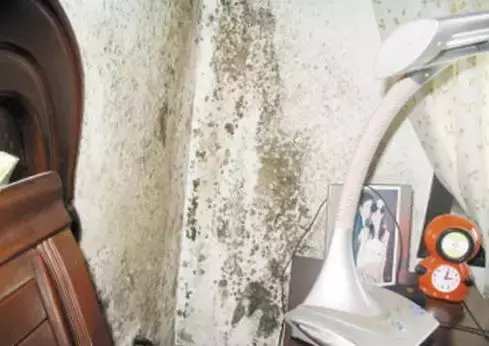 房子墙壁如何做才不发霉不开裂,墙壁上发霉开裂了怎么办