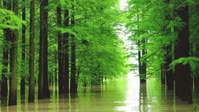 宁波东部最佳免费露营地,宁波免费十大露营地排名