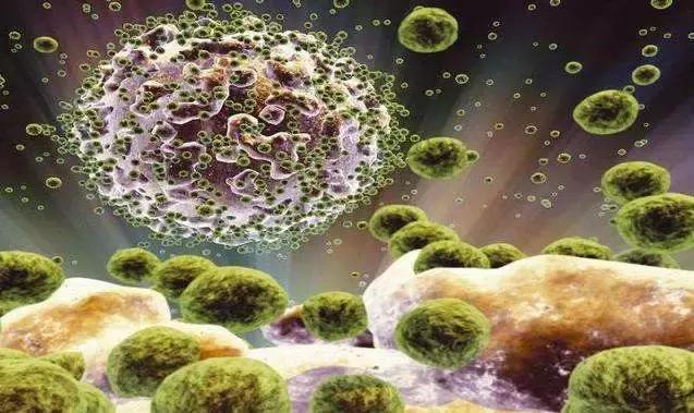 强生hiv疫苗,强生疫苗事件