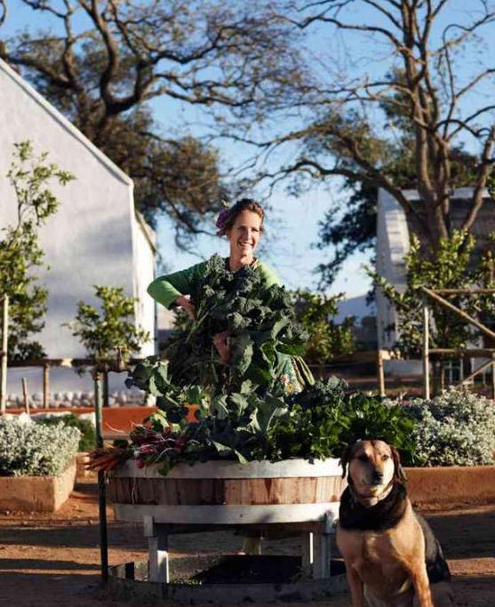 美国农场的盈利模式,美国农场是怎么挣钱的