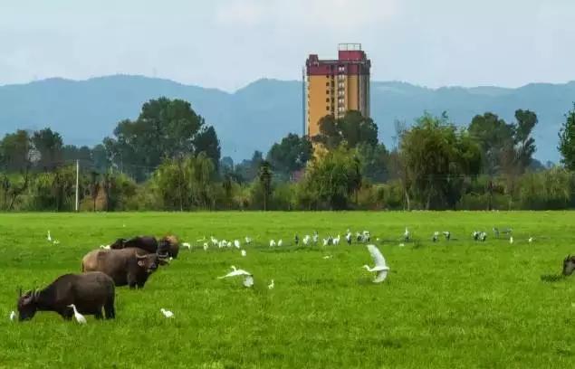 昆明超全的夏天避暑攻略,昆明古滇有趣的夏天避暑特点