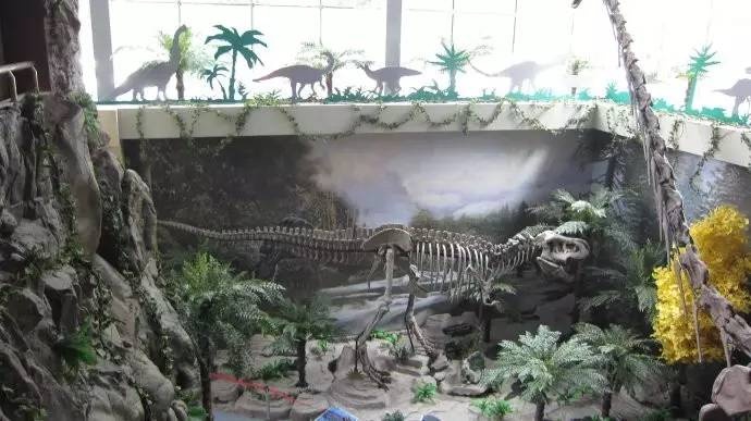 全国唯一的国家级大学博物馆,全国第一家高校博物馆