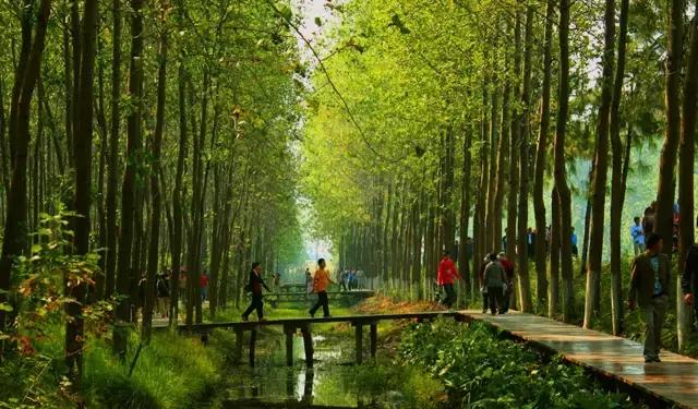 《滨湖使用说明书》，从它开始，重新认识滨湖！