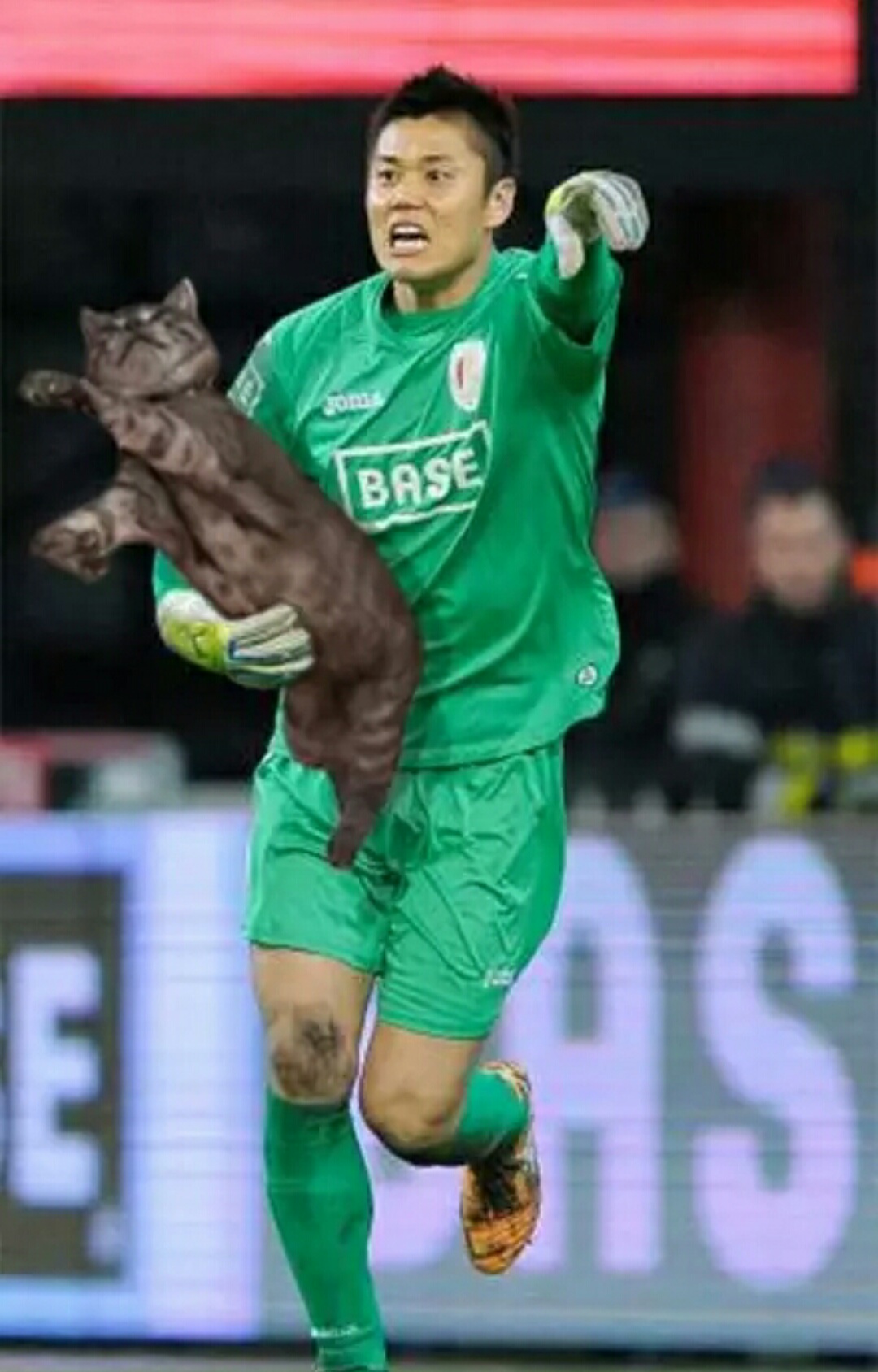 把足球p成猫,网友p的足球搞笑视频