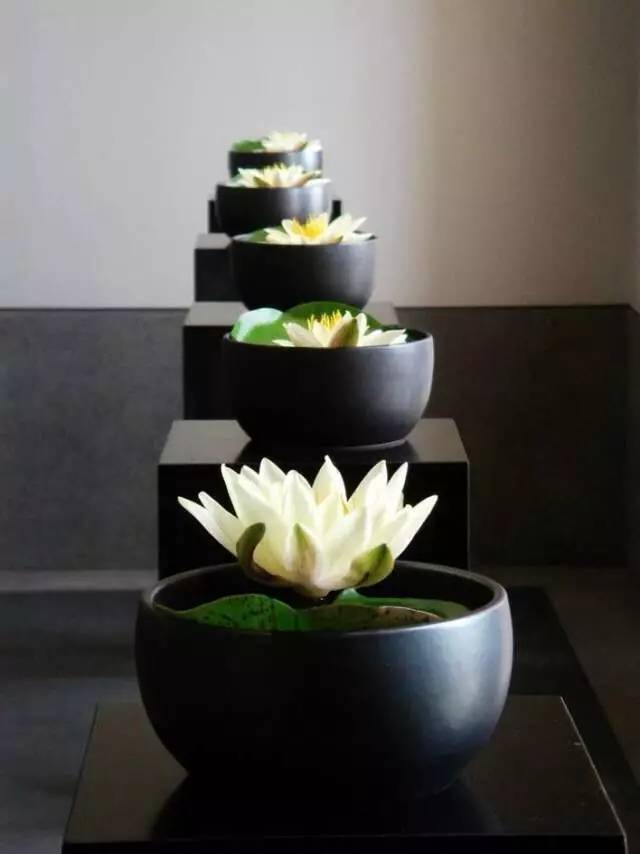 艺术花艺客厅,商业空间花艺设计图