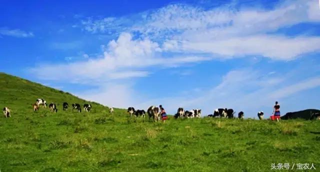 云雾缭绕人间仙境邵阳周边游,邵阳周末一日游景点推荐