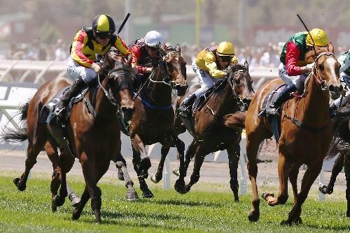 墨尔本最值得居住的区,墨尔本最适合居住的地方是哪里