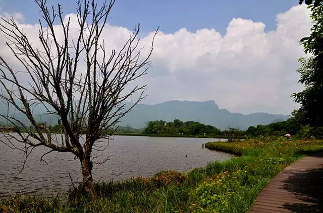北纬30°神秘之境,在高山草甸、追逐鹿群,这里美的像天堂!