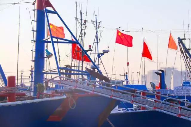 未来东海发展潜力,未来的东海岛怎样