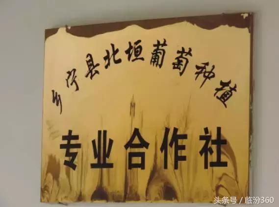 戎子酒庄酒业集团,戎子酒庄倾力打造